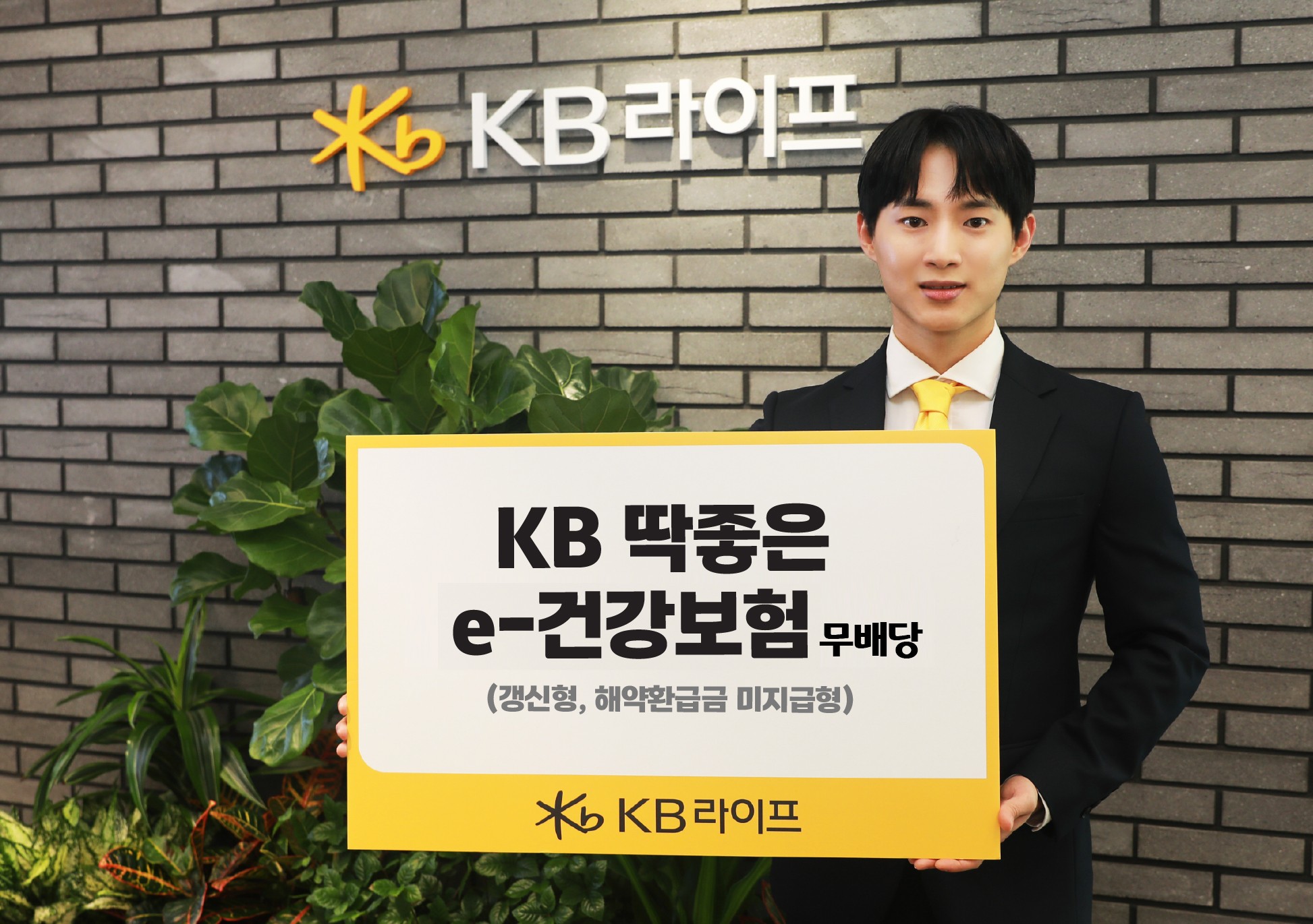 KB라이프, 온라인 전용 ‘KB 딱좋은 e-건강보험 무배당’ 출시