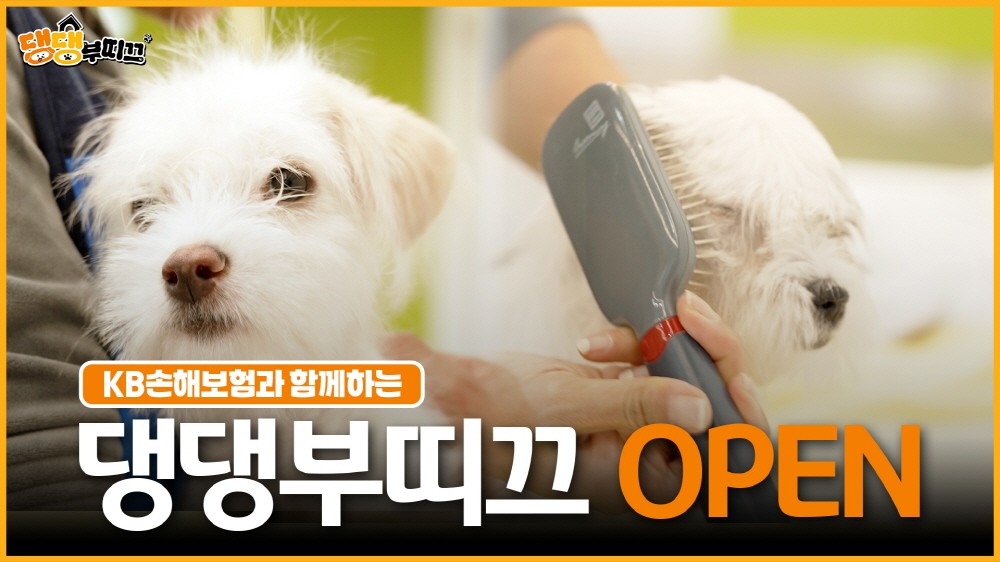 KB손해보험, 신규 유튜브 콘텐츠 ‘댕댕부티크’ 공개