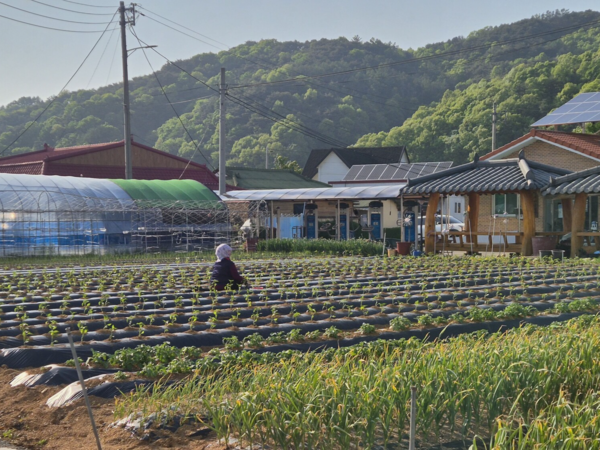 농어업인 안전보험, 직업병 관리까지 넓힌다